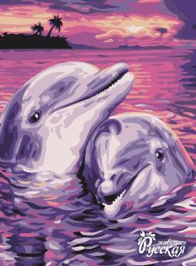 KA005 - Дельфины в свете заката