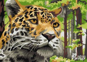 KH005 - Леопард в лесу