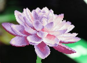 lep005 - Цветок лотоса