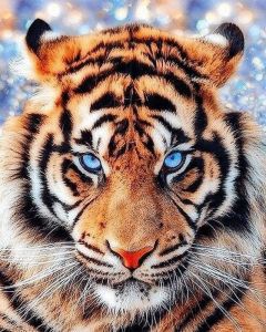 lg297 - Взгляд тигра