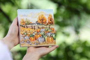 м-031 - Урожай тыкв