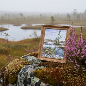 m1063 - Розовый шёпот Севера