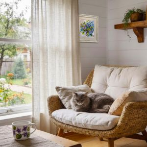 m1080 - Хрупкое чудо