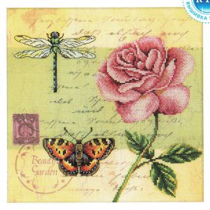 m70016 - Почтовая открытка - Роза