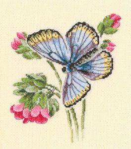 m749 - Бабочка села на нежный цветок