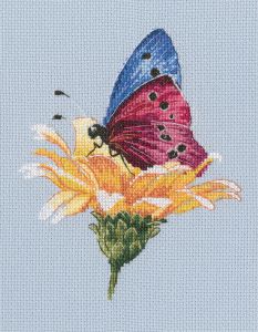m751 - Бабочка на цветке