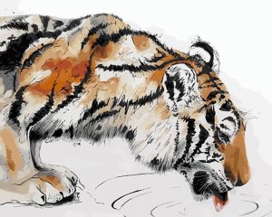 me1067 - Тигр на водопое