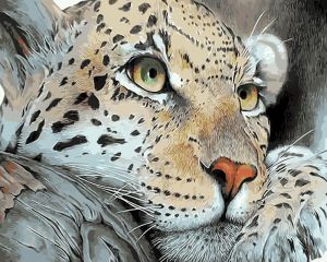 me1071 - Леопард на отдыхе