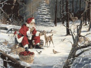 mg2027 - Санта Клаус
