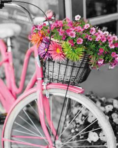 mg2464 - Розовый велосипед