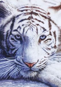 mg3290 - Белый тигр