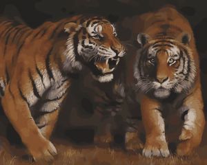 mg6083 - Дружба тигра