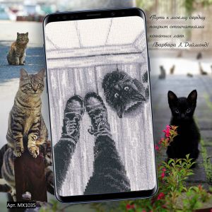 mx1035 - Я просто котёнок рядом