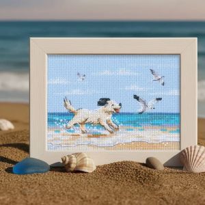 mx1108 - Наперегонки с ветром