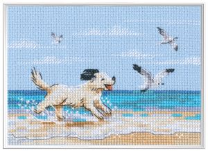 mx1108 - Наперегонки с ветром