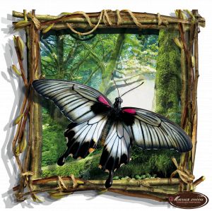 НРТ170233 - Бабочка черно-белая