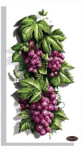 НРТ170263 - Сочный виноград