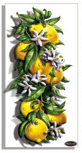 НРТ170265 - Сочный лимон
