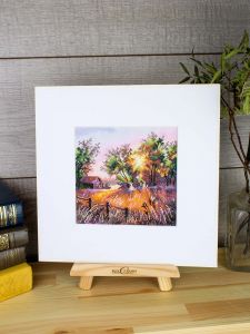 нв-1019 - Гармония природы