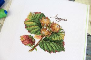 нв-912 - Дары природы. Лещина