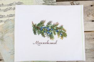 нв-913 - Дары природы. Можжевельник