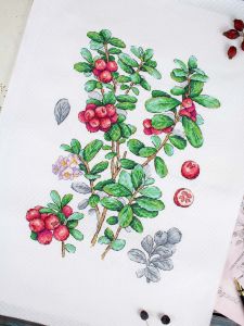 нв-928 - Брусника