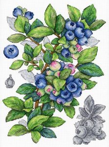 нв-929 - Голубика