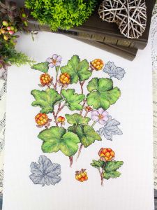 нв-930 - Морошка