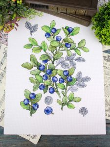 нв-931 - Черника