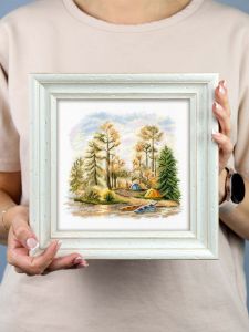 нв-954 - В сосновом лесу