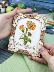 о-140 - Миниатюра. Календула