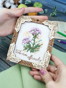 о-141 - Миниатюра. Валериана