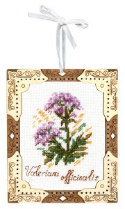 о-141 - Миниатюра. Валериана