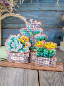 о-160 - Сад суккулентов