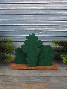 о-160 - Сад суккулентов