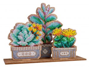 о-160 - Сад суккулентов