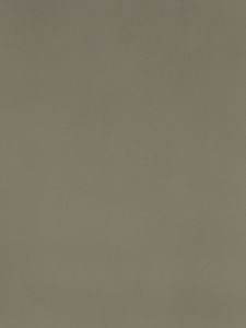 P150-1015-100x110 - Ткань Песочный беж 100x110