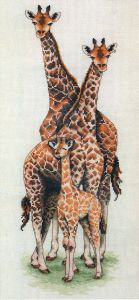 pce740 - Семейство жирафов