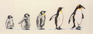 PCE751 - Пингвины в ряд