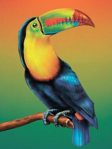 pe0010-уценка - Тропическая птица (Уценка)