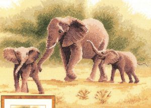 pgel646 - Слоны