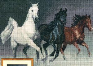 pgwh1022 - Дикие лошади