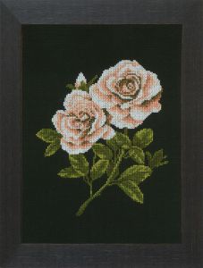 pn-0008337 - Розы на чёрном