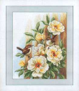 pn-0021782 - Птицы на розах