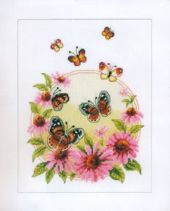 pn-0021838 - Эхинацея и бабочки