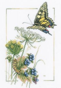 pn-0021869 - Бабочки у черники