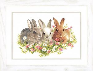 pn-0143866 - Кролики в полевых цветах