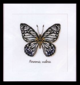 pn-0165403 - Голубая бабочка