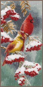 pn-0165887 - Алые и снежные кардиналы