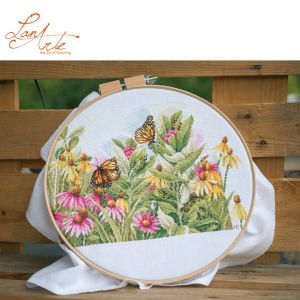 pn-0179972 - Бабочки и рудбекия